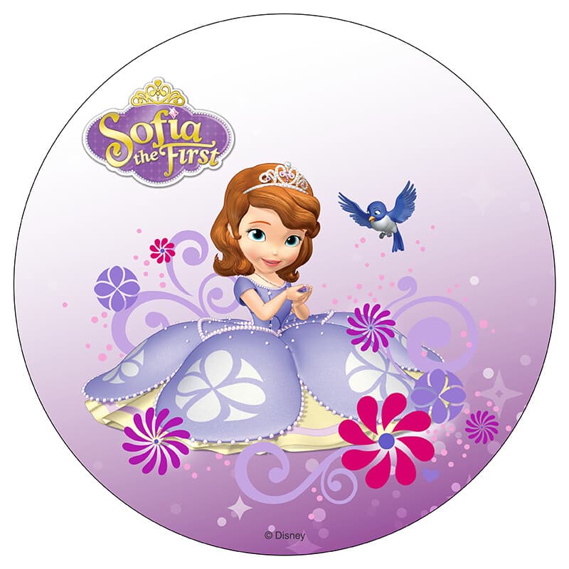 Sofia The First Ice Cream Cake