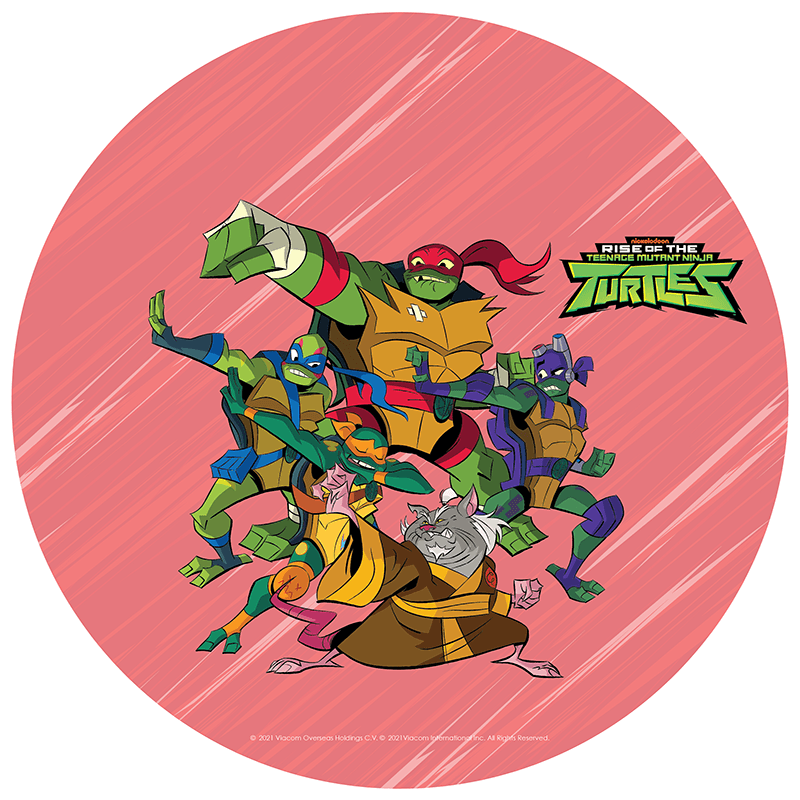 Turtle Training