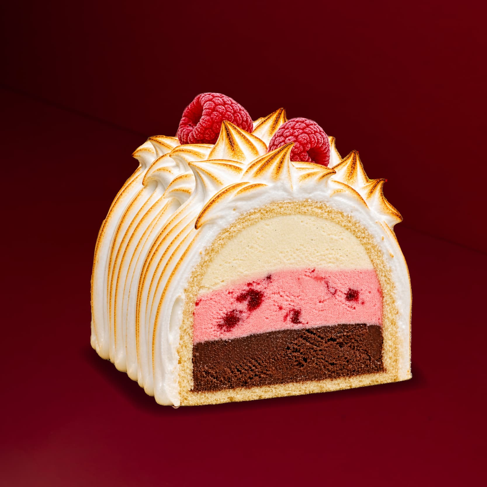 Swensen's Special Log (Strawberry, Vanilla and Chocoholic) 2